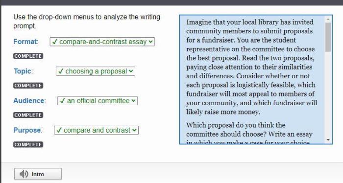 Use the drop down menus to analyze the writing prompt