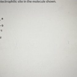 Electrophilic following molecule question6