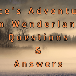 Alice in wonderland chapter 1 questions and answers